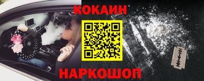 индика Гусь-Хрустальный