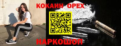 индика Гусь-Хрустальный