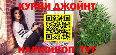 индика Гусь-Хрустальный
