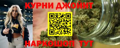 индика Гусь-Хрустальный