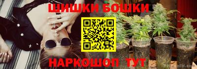 индика Гусь-Хрустальный