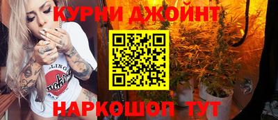 индика Гусь-Хрустальный
